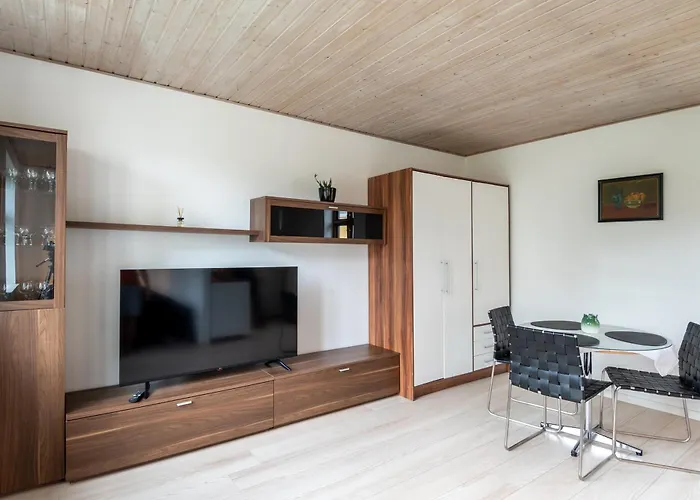 Little Studio House